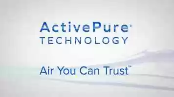 Free download Wolf and Bear Marketing Covid Solution video and edit with RedcoolMedia movie maker MovieStudio video editor online and AudioStudio audio editor onlin