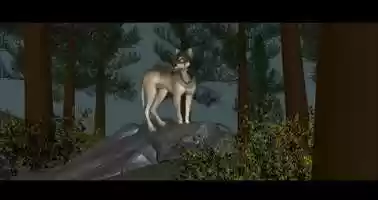 Free download wolf video and edit with RedcoolMedia movie maker MovieStudio video editor online and AudioStudio audio editor onlin