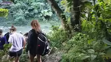 Free download Womens Basketball - Puerto Rico Rainforest video and edit with RedcoolMedia movie maker MovieStudio video editor online and AudioStudio audio editor onlin