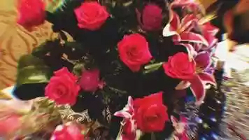 Free download Womens Wealth Movement video and edit with RedcoolMedia movie maker MovieStudio video editor online and AudioStudio audio editor onlin