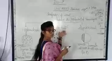 Free download Wood video and edit with RedcoolMedia movie maker MovieStudio video editor online and AudioStudio audio editor onlin