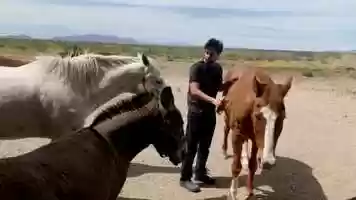 Free download WorkMusic_HelloInThere.m4v video and edit with RedcoolMedia movie maker MovieStudio video editor online and AudioStudio audio editor onlin