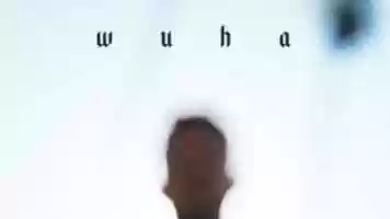 Free download WUHA - Felege video and edit with RedcoolMedia movie maker MovieStudio video editor online and AudioStudio audio editor onlin