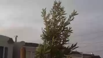 Free download XII. Nostalgia #60SecondSundays video and edit with RedcoolMedia movie maker MovieStudio video editor online and AudioStudio audio editor onlin