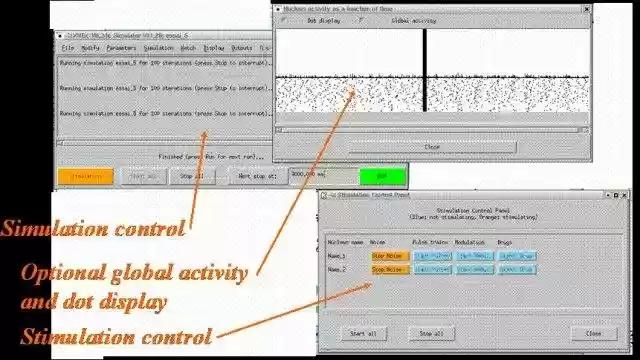 Download web tool or web app XNBC: neurobiology simulation tool