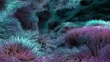 Free download X Particles RD video and edit with RedcoolMedia movie maker MovieStudio video editor online and AudioStudio audio editor onlin