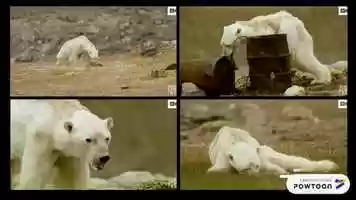 Free download Y4 CSI 2020 - video lecture / pledge video and edit with RedcoolMedia movie maker MovieStudio video editor online and AudioStudio audio editor onlin