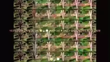 Free download YESTERDAY 2020 07 23 ⚡️ROOTCAT⚡️DAILY DANK VIDEO MEME 2020 video and edit with RedcoolMedia movie maker MovieStudio video editor online and AudioStudio audio editor onlin