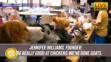 Free download You Can Clone Your Dog in a Stuffed Animal video and edit with RedcoolMedia movie maker MovieStudio video editor online and AudioStudio audio editor onlin