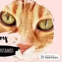 Free download Youll do ;) video and edit with RedcoolMedia movie maker MovieStudio video editor online and AudioStudio audio editor onlin