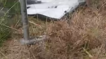 Free download Young Living Science video and edit with RedcoolMedia MovieStudio video editor online and AudioStudio audio editor onlin