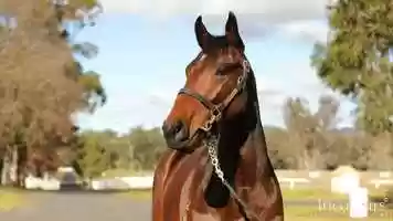 Free download Your Song x May Bien filly video and edit with RedcoolMedia movie maker MovieStudio video editor online and AudioStudio audio editor onlin