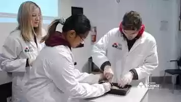 Free download Youth Empowerment Program: Mental Health: The Science of Anxiety video and edit with RedcoolMedia movie maker MovieStudio video editor online and AudioStudio audio editor onlin