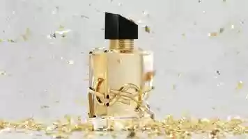 Free download ysl_dmi_fraw_libre-holiday-2021_video_animation_tag_solo_edp_landscape_4sec video and edit with RedcoolMedia movie maker MovieStudio video editor online and AudioStudio audio editor onlin
