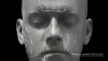 Free download Yucel Yilmaz // Motion Graphics Design And 3D Animation Showreel // 2019 video and edit with RedcoolMedia movie maker MovieStudio video editor online and AudioStudio audio editor onlin
