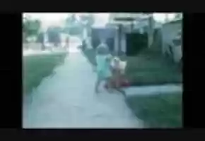 Free download Zoo with Friends video and edit with RedcoolMedia movie maker MovieStudio video editor online and AudioStudio audio editor onlin